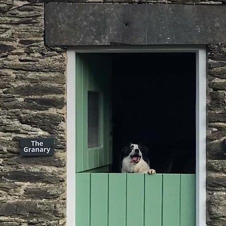 Dog Friendly Cottage, Geufron Farm Near Tywyn Bryn-crug Eksteriør billede
