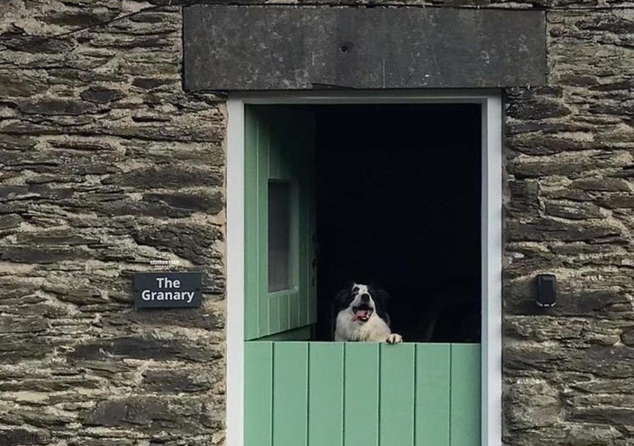 Dog Friendly Cottage, Geufron Farm Near Tywyn Bryn-crug Eksteriør billede