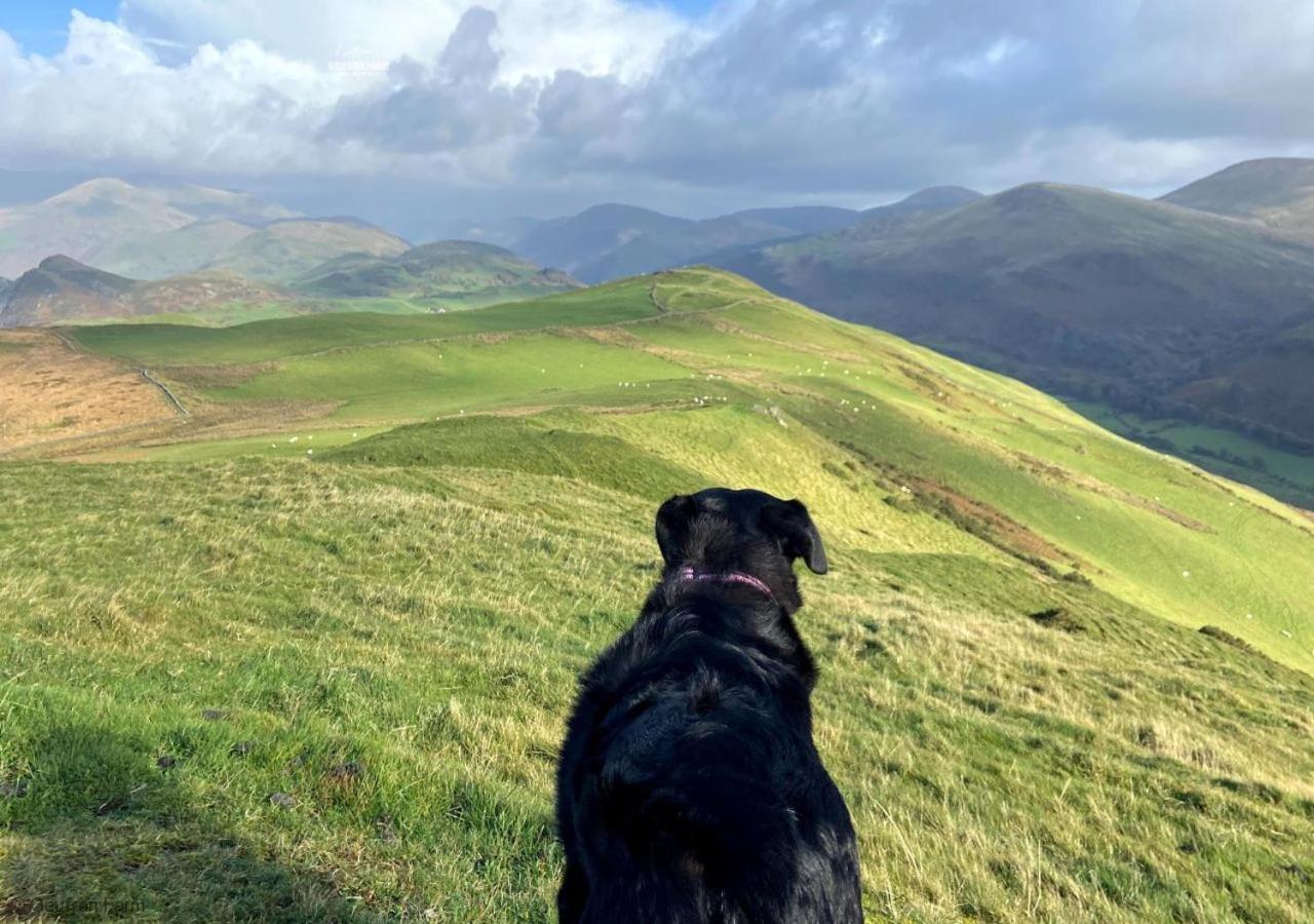 Dog Friendly Cottage, Geufron Farm Near Tywyn Bryn-crug Eksteriør billede