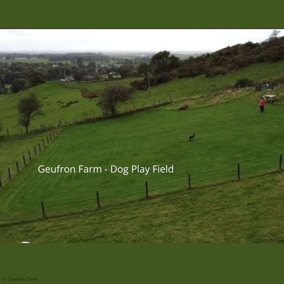 Dog Friendly Cottage, Geufron Farm Near Tywyn Bryn-crug Eksteriør billede