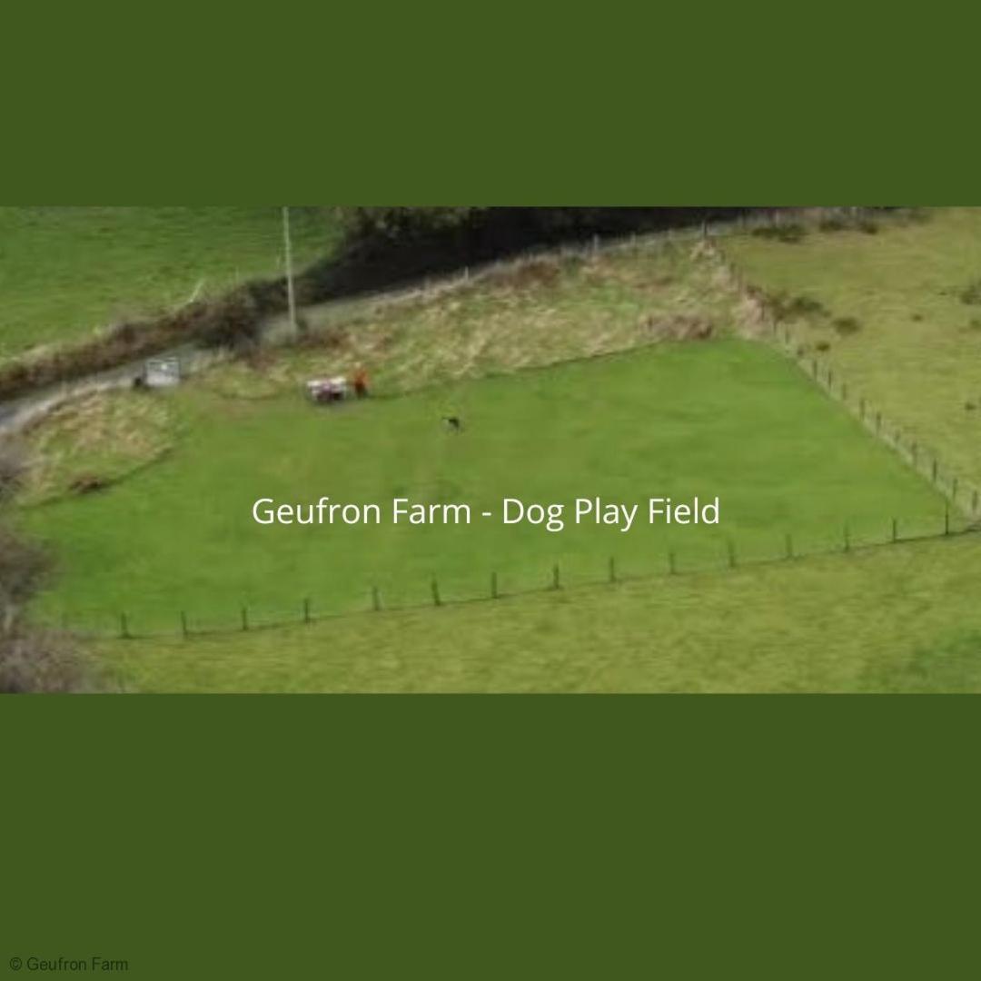 Dog Friendly Cottage, Geufron Farm Near Tywyn Bryn-crug Eksteriør billede