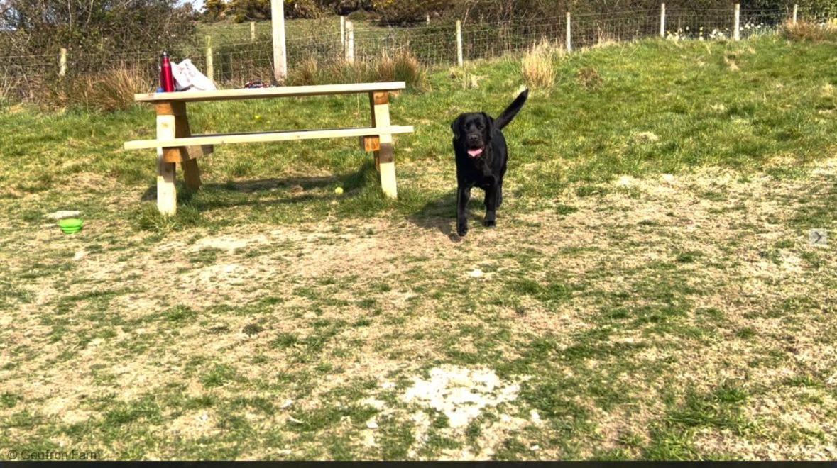 Dog Friendly Cottage, Geufron Farm Near Tywyn Bryn-crug Eksteriør billede